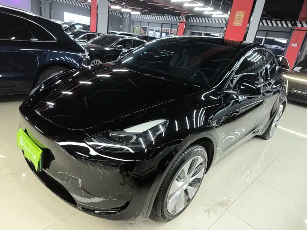 Tesla Model Y — фото 2