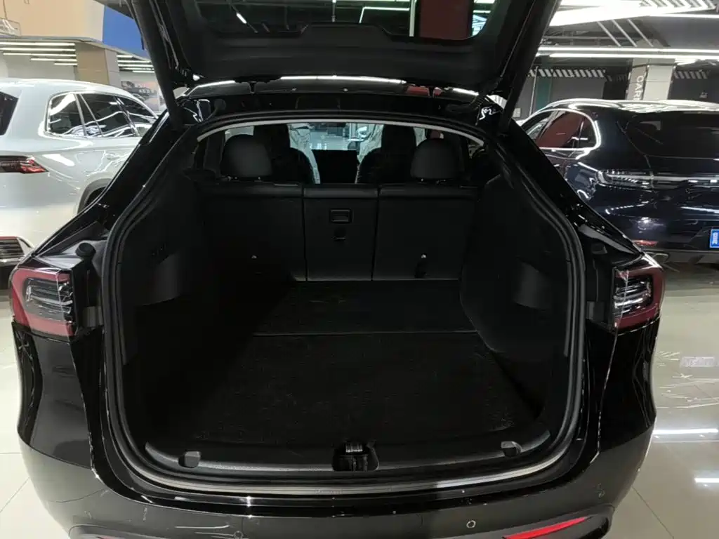 Tesla Model Y — фото 19