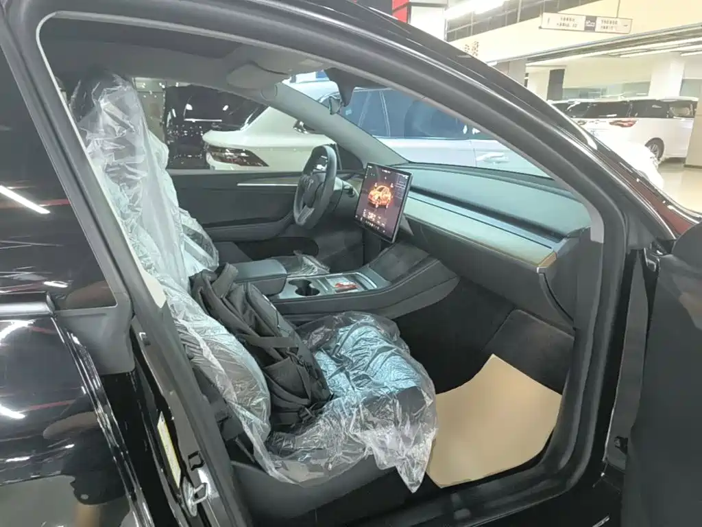 Tesla Model Y — фото 25