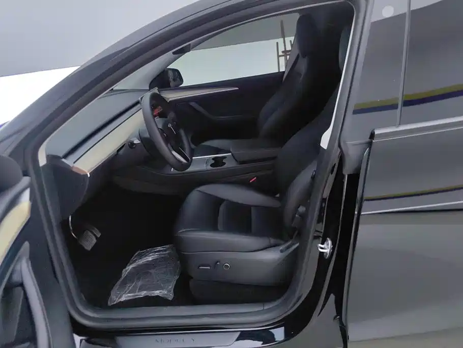 Tesla Model Y — фото 9