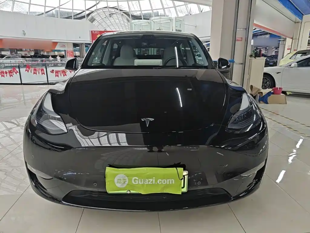 Tesla Model Y — фото 3