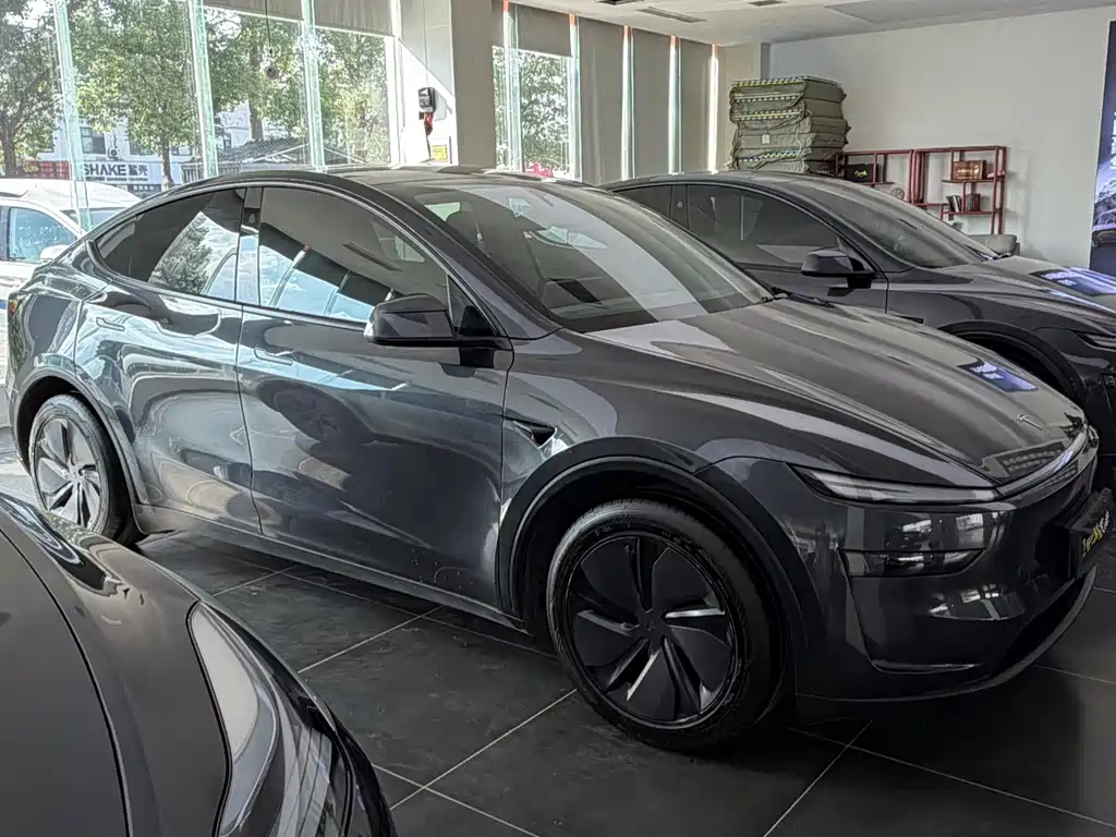 Tesla Model Y — фото 3