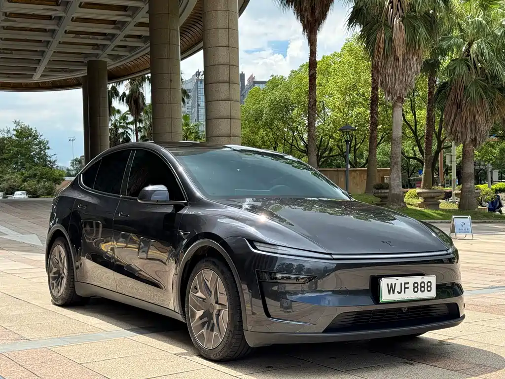 Tesla Model Y L — фото 3