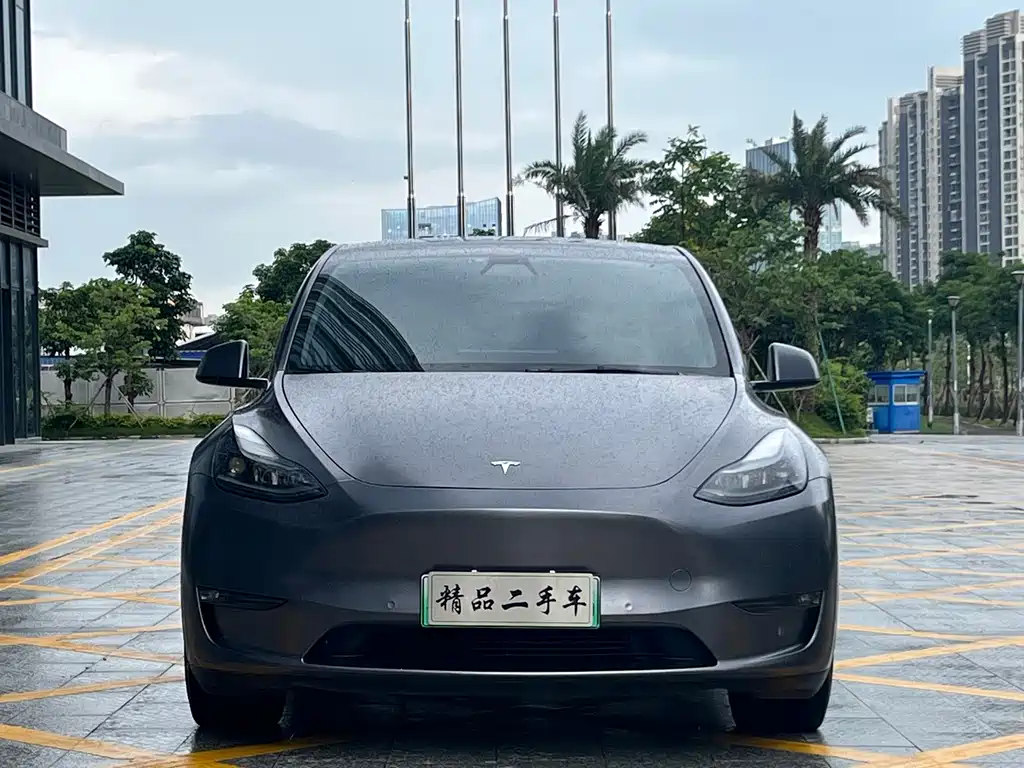 Tesla Model Y — фото 2