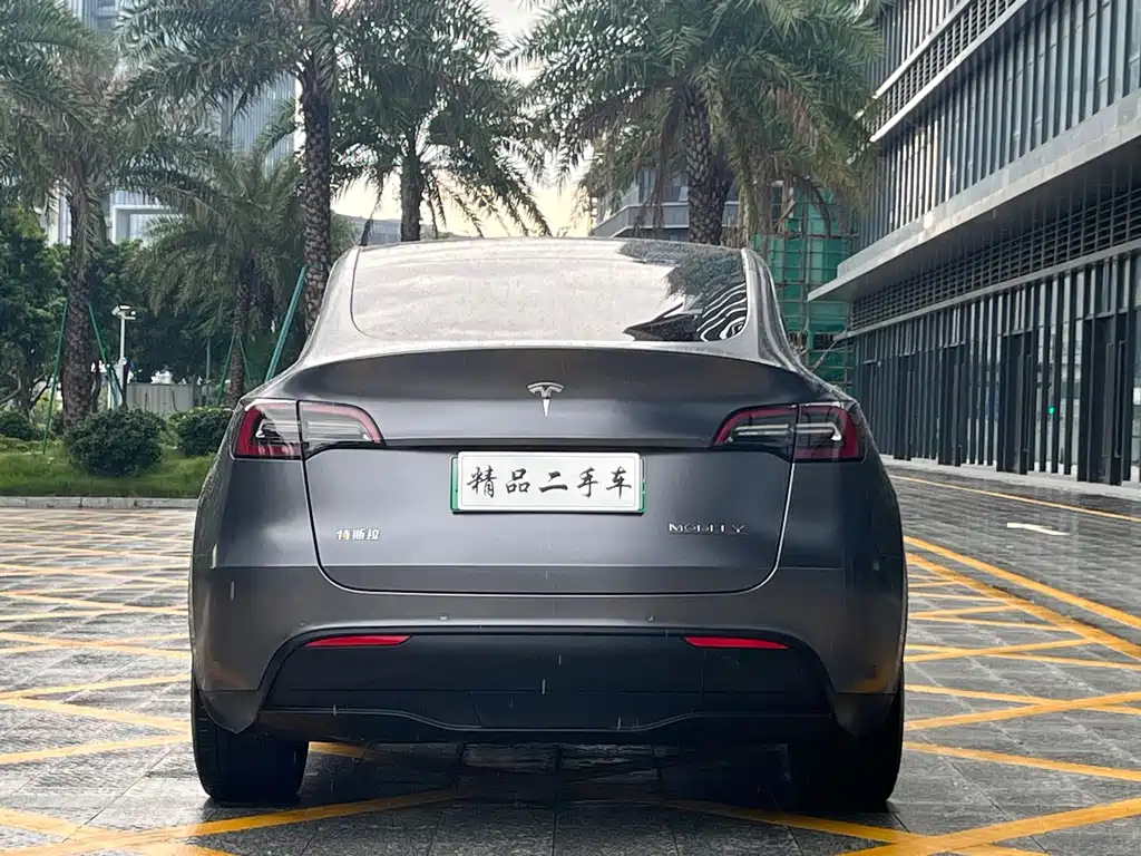 Tesla Model Y — фото 5