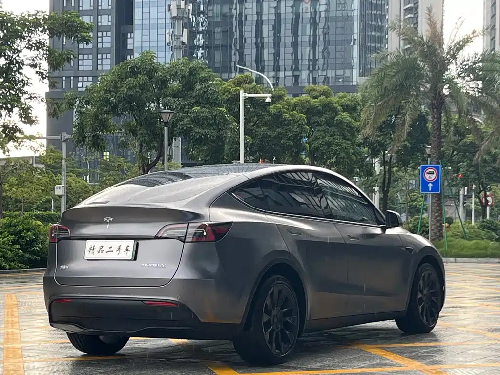 Tesla Model Y — фото 6