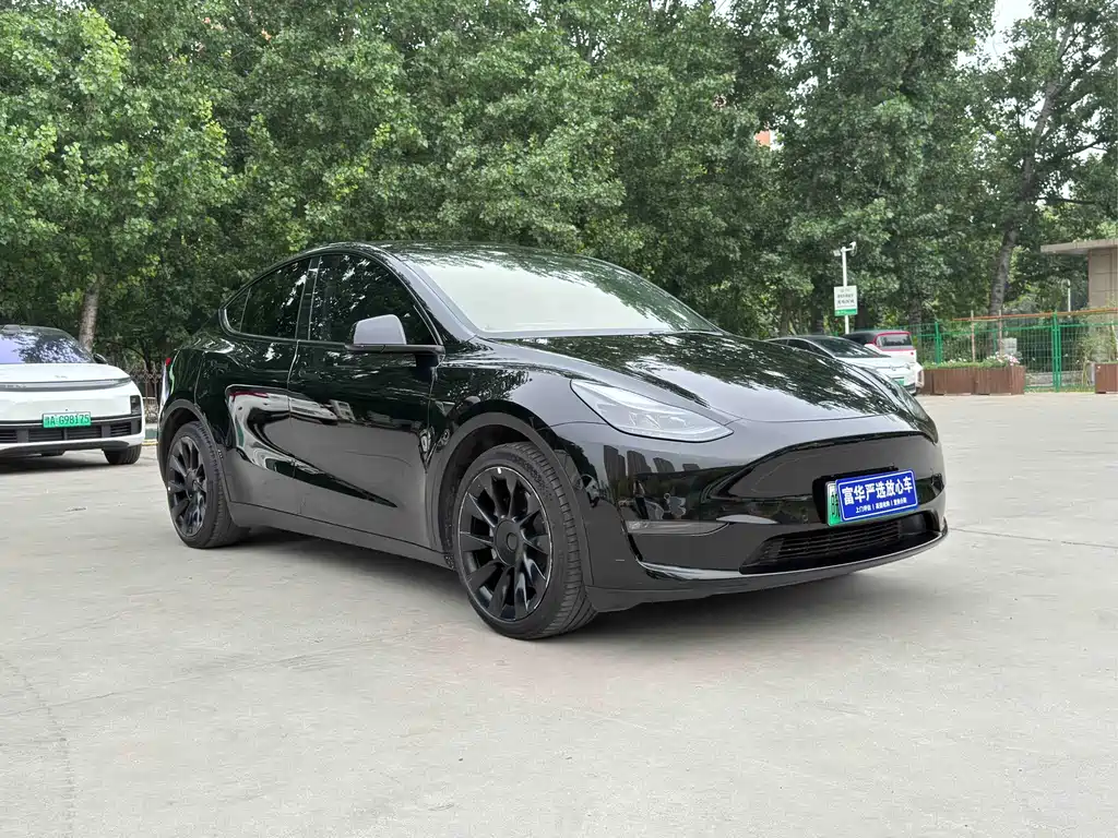 Tesla Model Y — фото 3