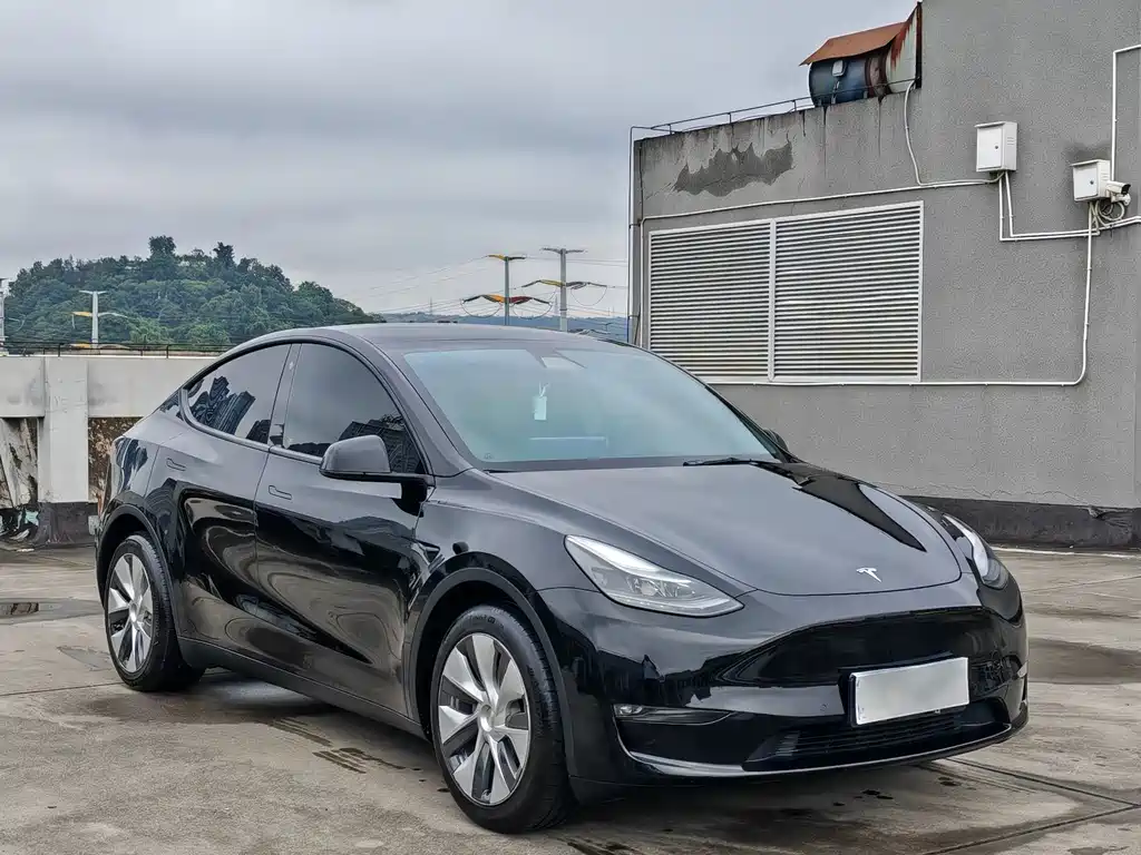 Tesla Model Y — фото 3