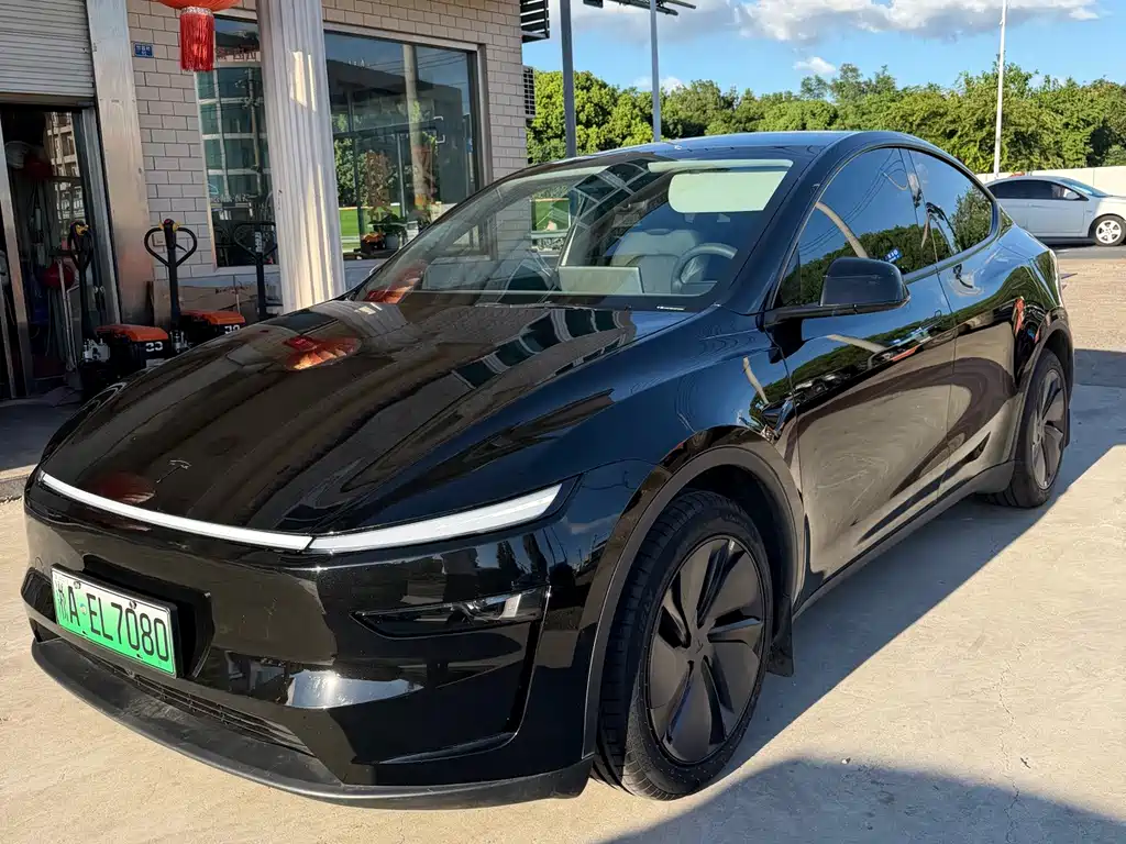 Tesla Model Y — фото 3