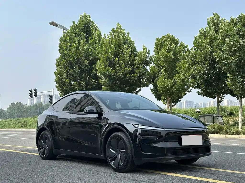 Tesla Model Y — фото 3