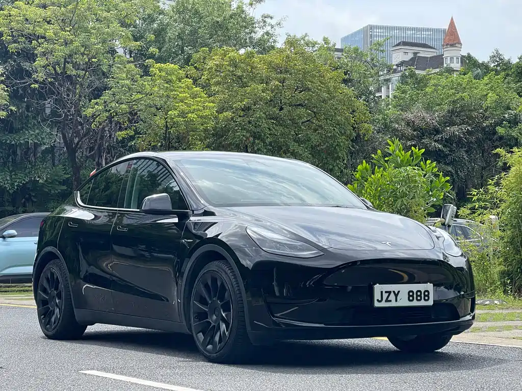 Tesla Model Y — фото 3