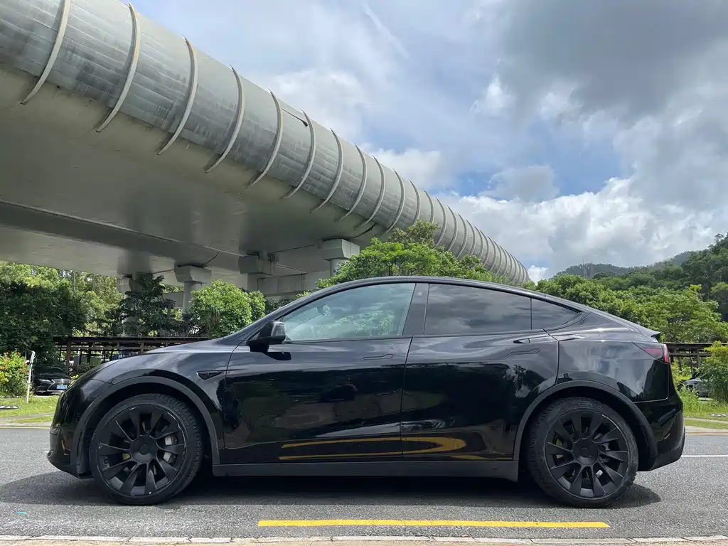 Tesla Model Y — фото 4