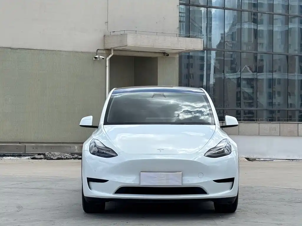 Tesla Model Y — фото 2