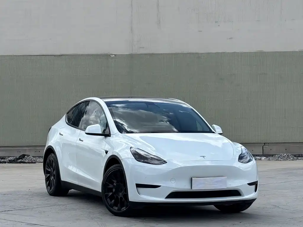 Tesla Model Y — фото 3