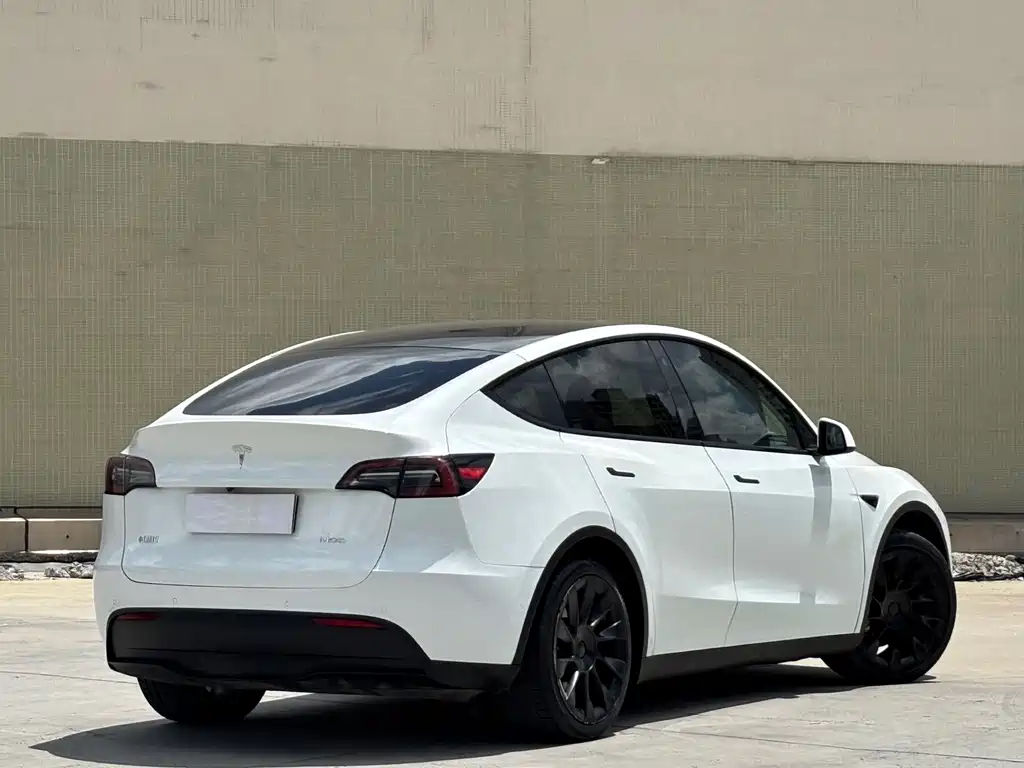 Tesla Model Y — фото 7