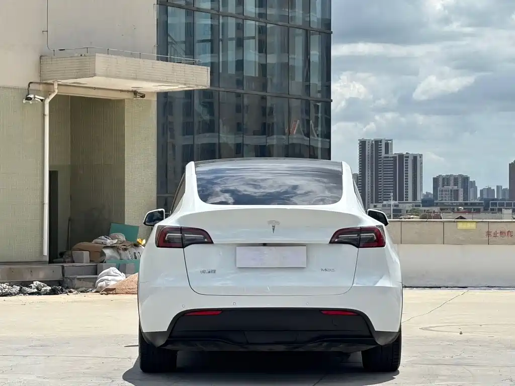 Tesla Model Y — фото 8