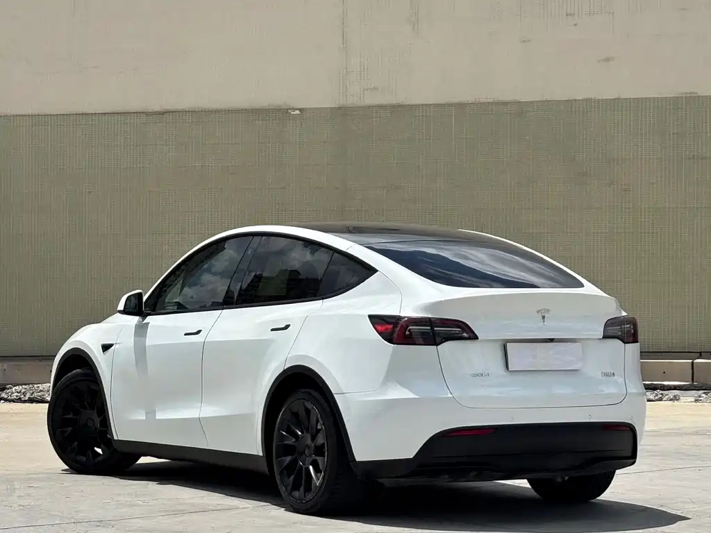 Tesla Model Y — фото 9