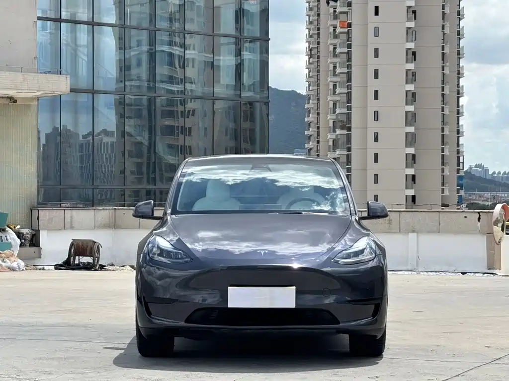 Tesla Model Y — фото 2