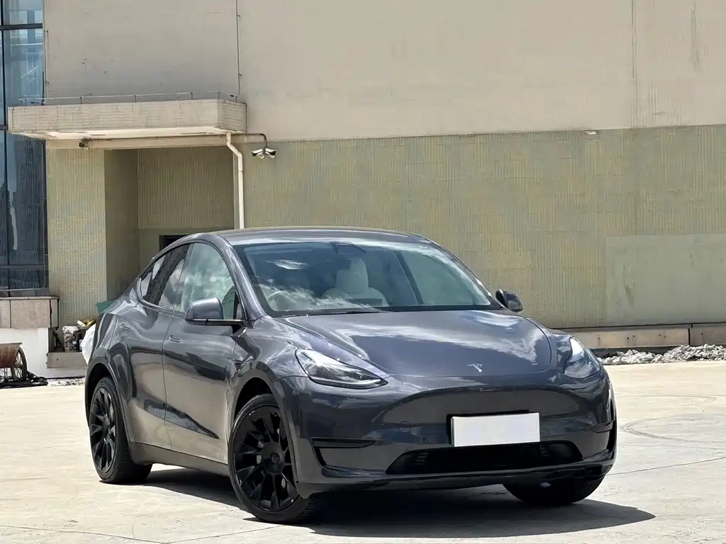 Tesla Model Y — фото 3