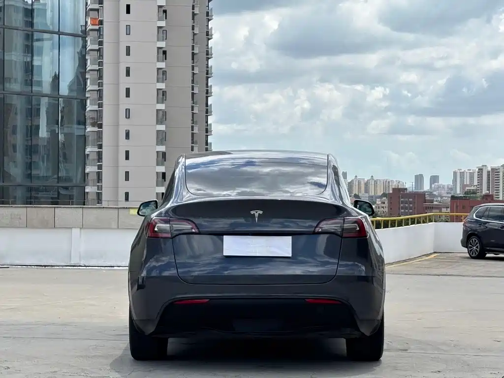 Tesla Model Y — фото 8