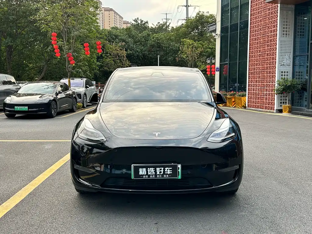Tesla Model Y — фото 2