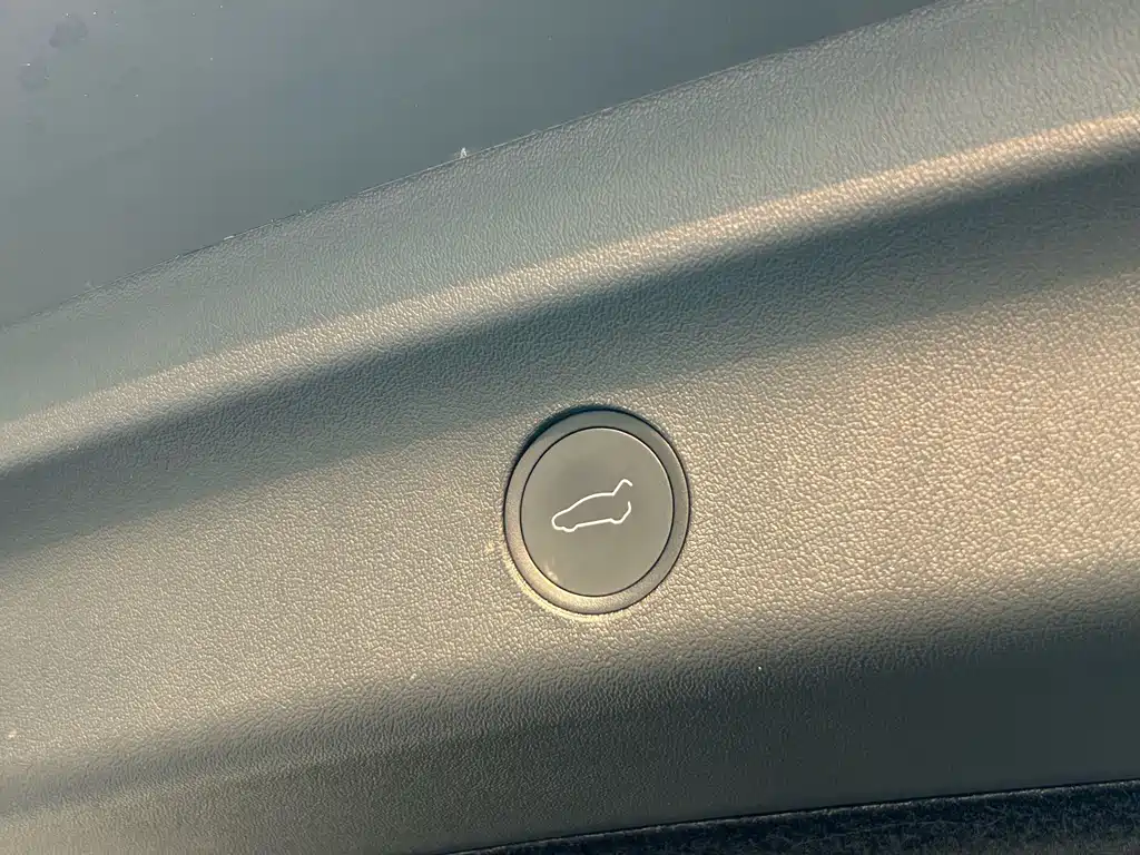 Tesla Model Y — фото 14