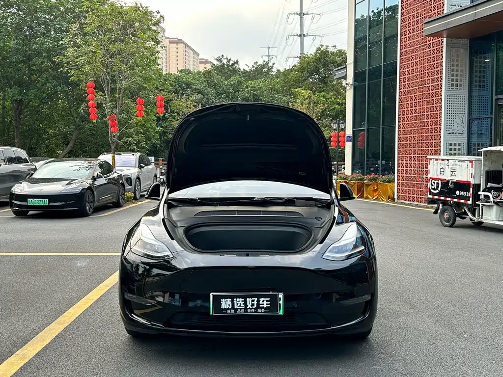Tesla Model Y — фото 6