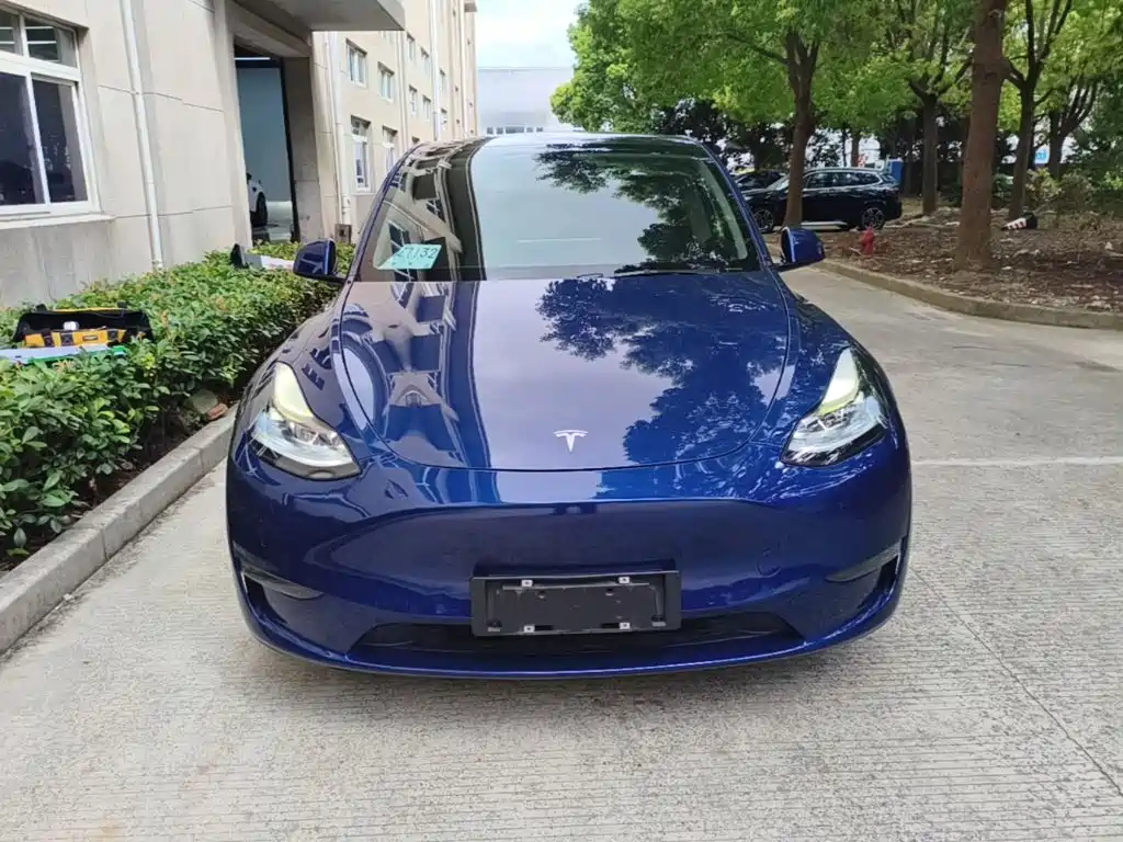 Tesla Model Y — фото 3