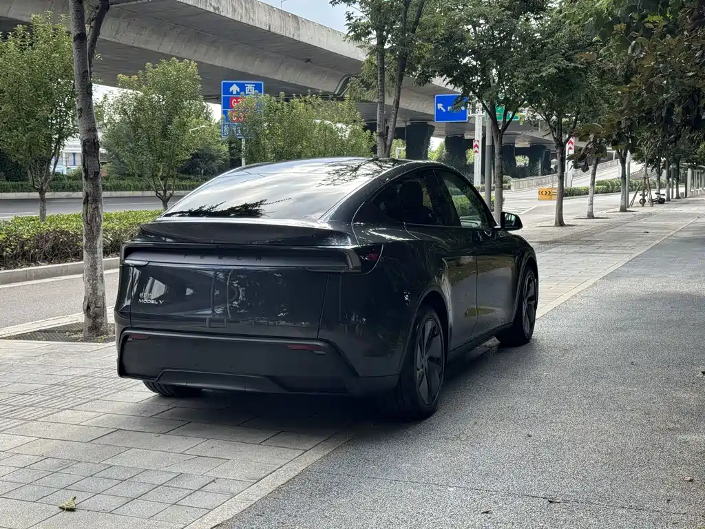 Tesla Model Y — фото 7