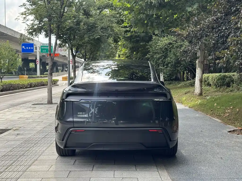 Tesla Model Y — фото 8
