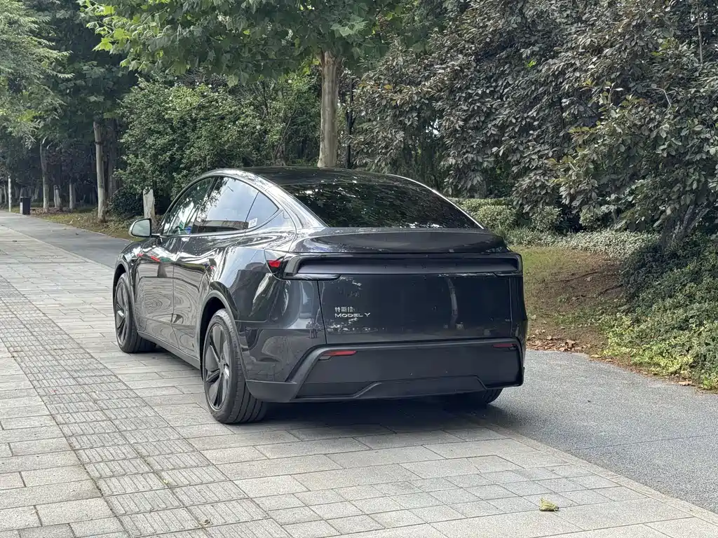 Tesla Model Y — фото 9