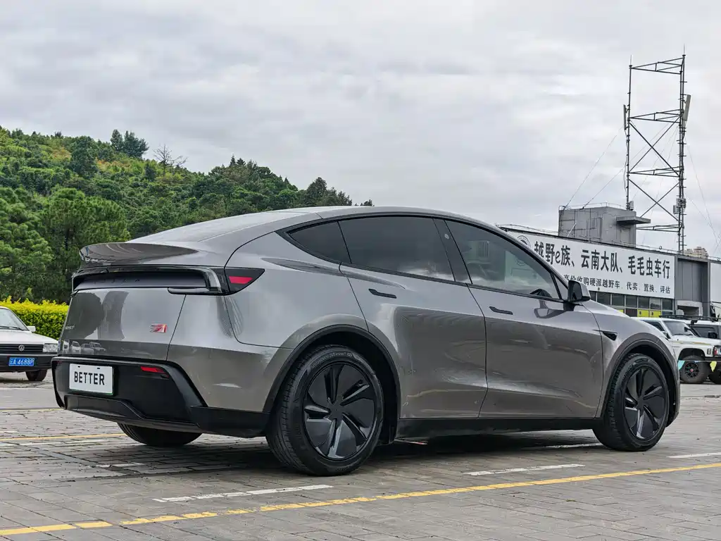 Tesla Model Y — фото 8
