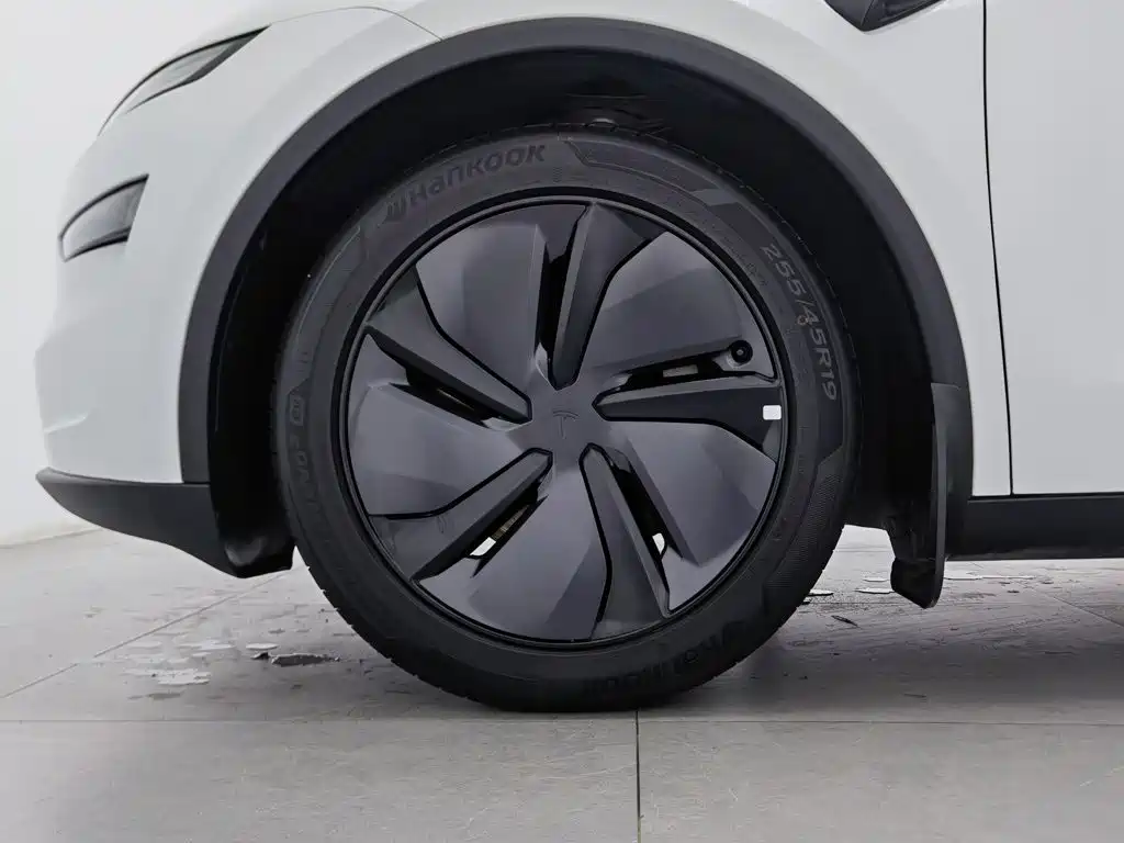 Tesla Model Y — фото 17