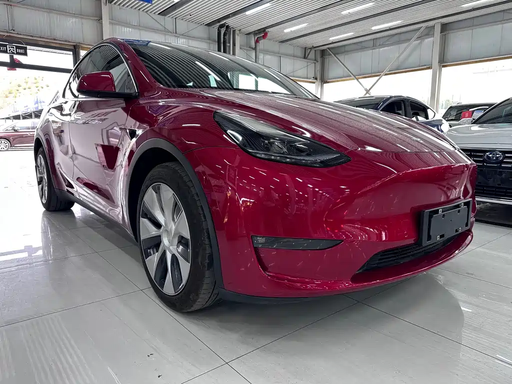 Tesla Model Y — фото 3