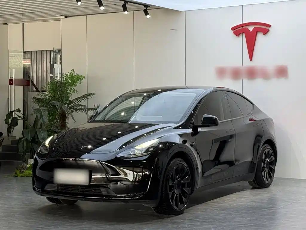 Tesla Model Y — фото 2