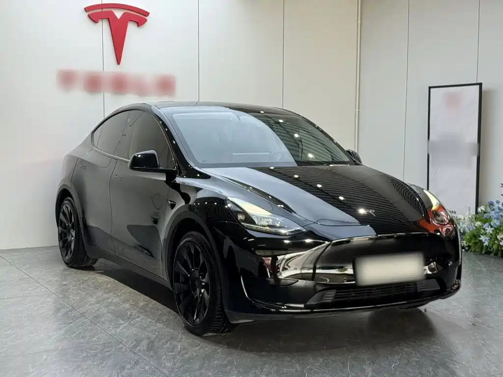 Tesla Model Y — фото 4
