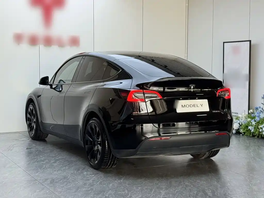 Tesla Model Y — фото 5