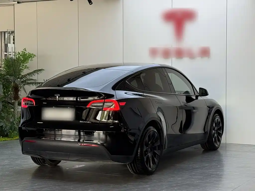 Tesla Model Y — фото 7