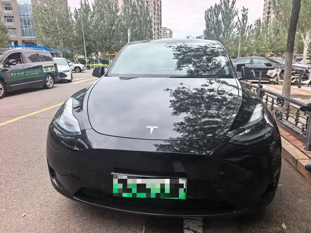 Tesla Model Y — фото 2
