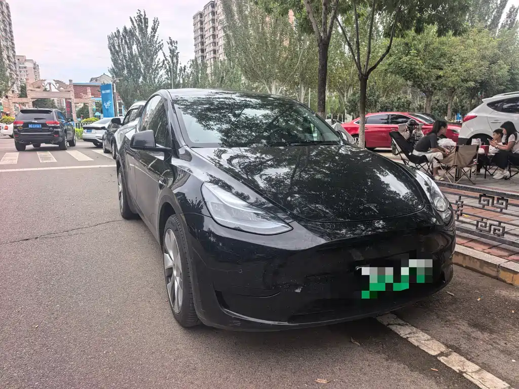 Tesla Model Y — фото 3