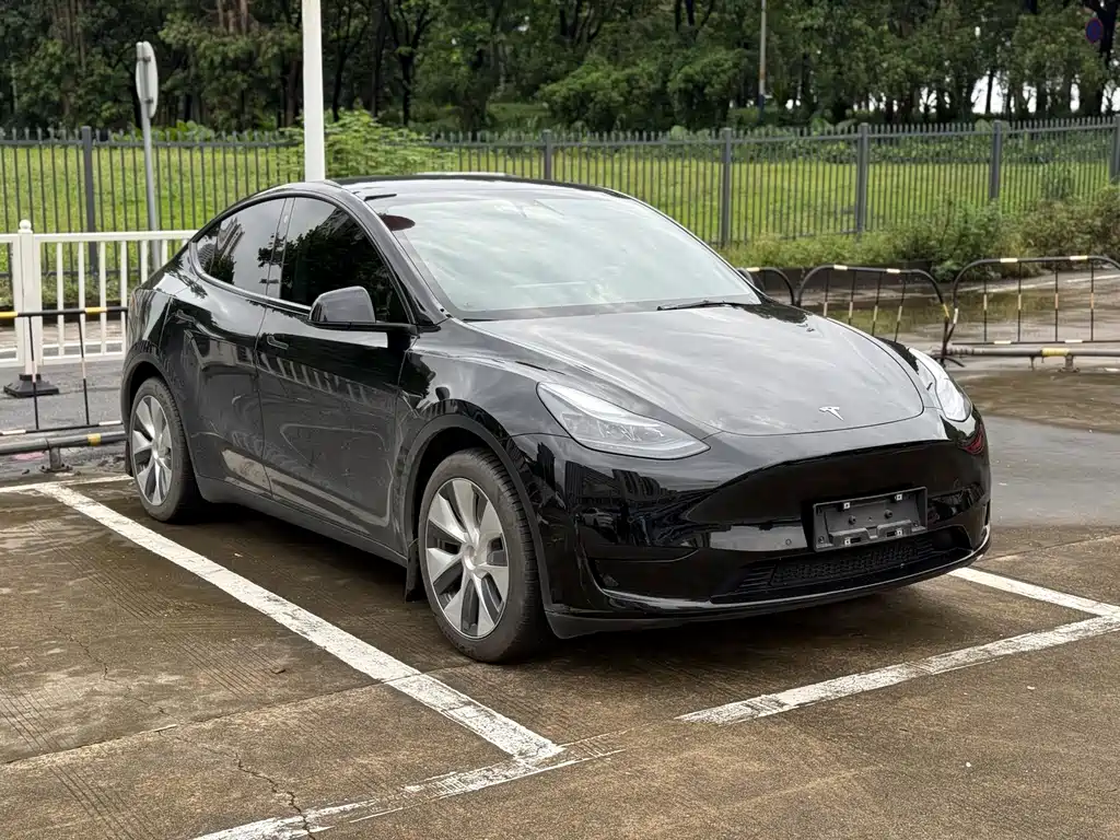Tesla Model Y — фото 3