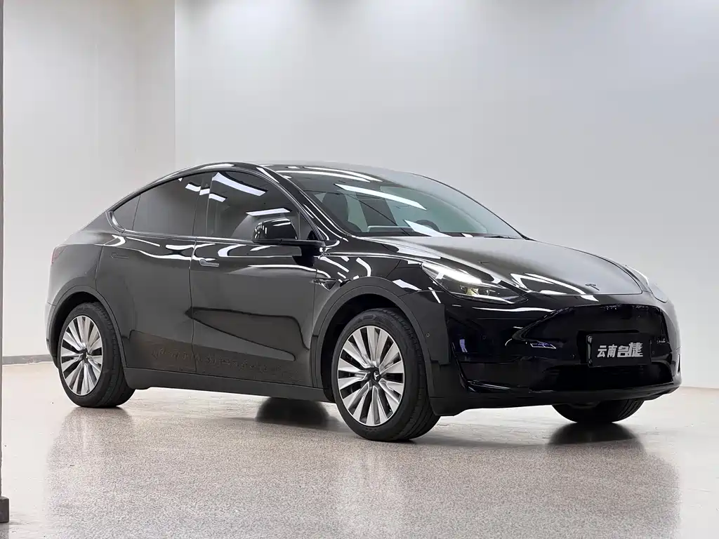 Tesla Model Y — фото 3