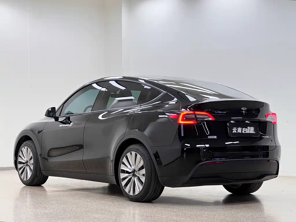 Tesla Model Y — фото 5