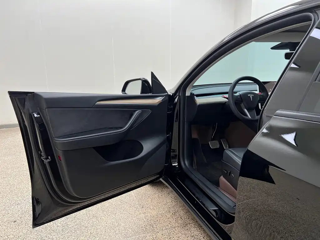 Tesla Model Y — фото 8