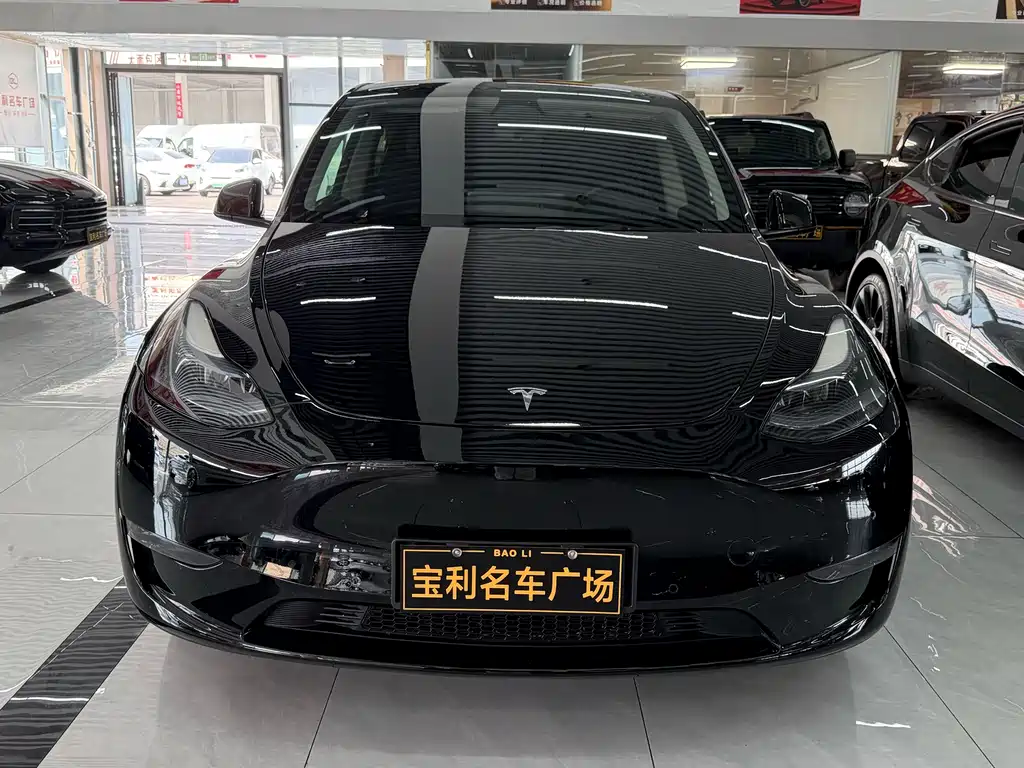 Tesla Model Y — фото 2