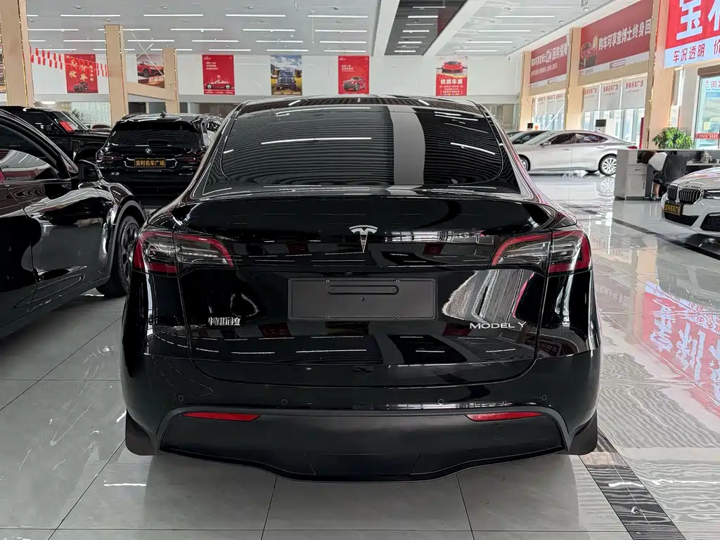 Tesla Model Y — фото 6