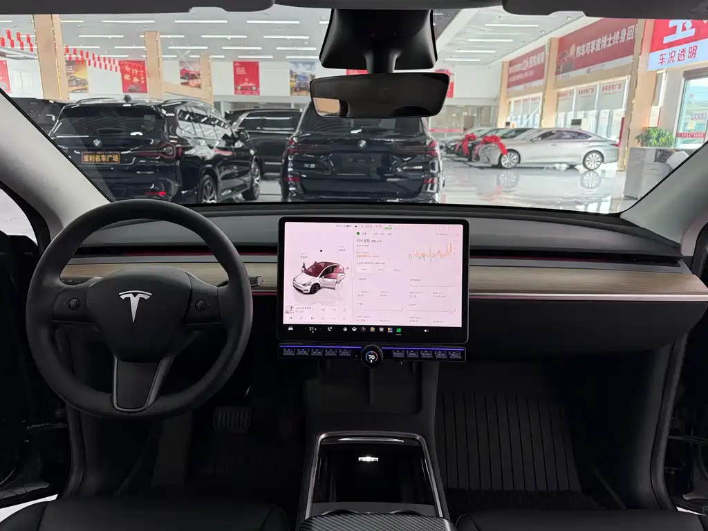 Tesla Model Y — фото 10