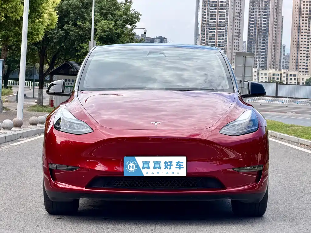 Tesla Model Y — фото 2