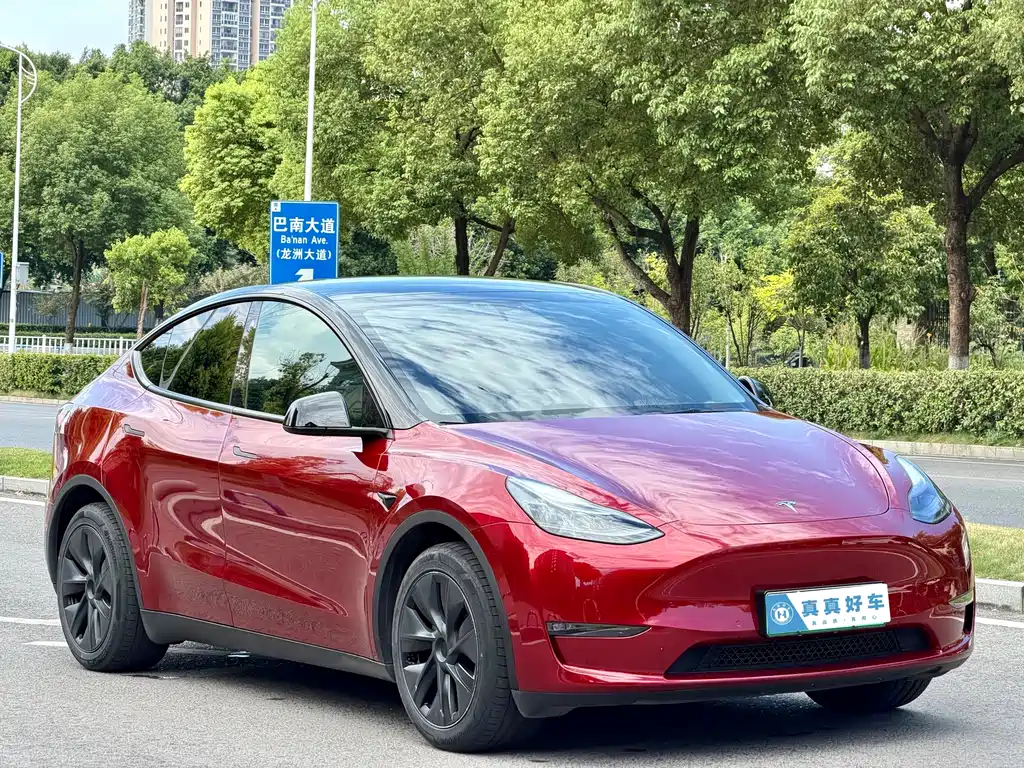 Tesla Model Y — фото 3