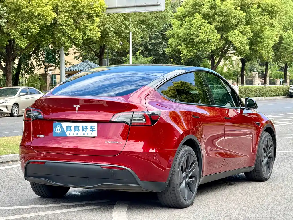 Tesla Model Y — фото 4
